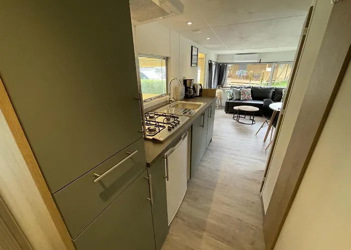 Klein Vink - A10 آرسين